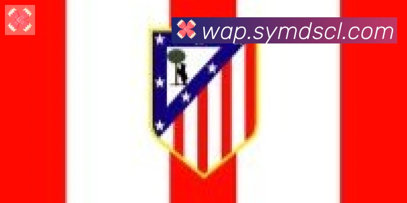 博亚app合作伙伴