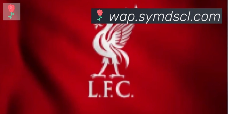 博亚app合作伙伴