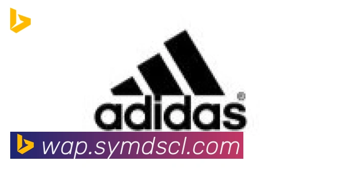 博亚app合作伙伴